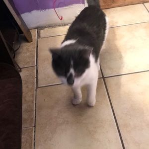 Meet your Posher, Rad